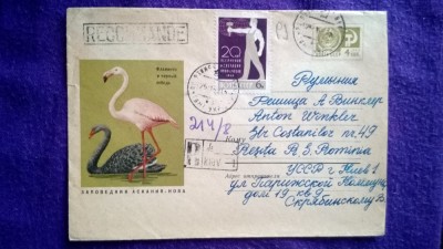 Plic circulat Recomandat + timbre CCP - Motiv fauna - pasari - Intreg postal foto