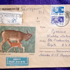 Plic circulat Recomandat - Intreg postal + timbre CCP - Motiv fauna - Par avion