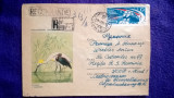 Plic circulat Recomandat + timbre CCP - Motiv fauna - pasari