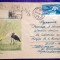 Plic circulat Recomandat + timbre CCP - Motiv fauna - pasari