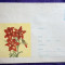 Plic, intreg postal - Motif Florar - Flora - Necirculat