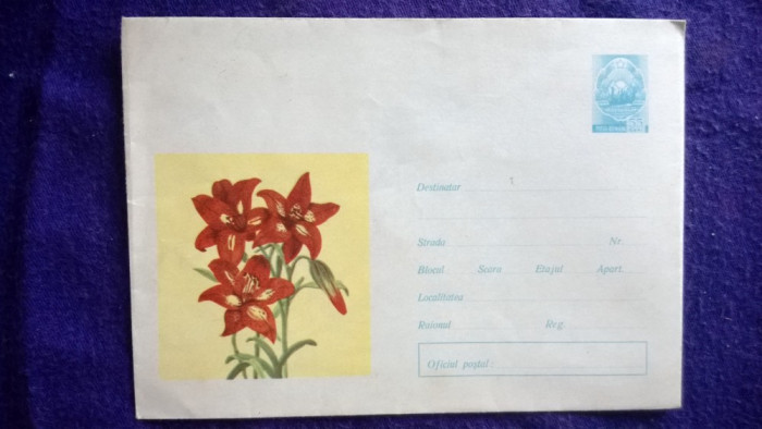 Plic, intreg postal - Motif Florar - Flora - Necirculat