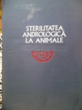 STERILITATEA ANDROLOGICA LA ANMALE