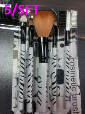 Set Trusa 5/set Pensule/Brush/ Profesionale de Machiaj make-up perfect PROMOTIE !!!!! foto