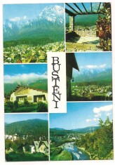 carte postala(ilustrata)- BUSTENI-colaj
