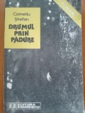 DRUMUL PRIN PADURE - Corneliu Stefan, 1989