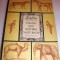 PAGINI DIN &#039;ISTORIA NATURALA&#039; - Buffon