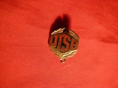 Insigna veche DTSB -Fed. de Gimnastica DDR 1957 foto