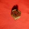 Insigna veche DTSB -Fed. de Gimnastica DDR 1957