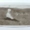 3 - GRIGORESCU - LA PASUNE - REPRODUCERE DE ARTA - SEPIA - EDITURA CARTEA ROMANEASCA - PERIOADA INTERBELICA