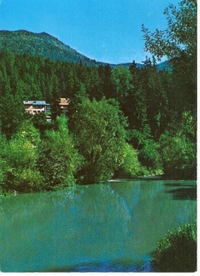 CP192-79 Valea Oltului la Tusnad. -carte postala necirculata foto