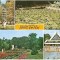 CP192-84 Baile Felix -carte postala scrisa 1981, dar necirculata
