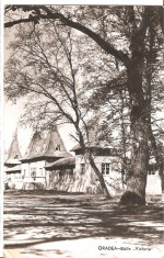 Oradea-Baile Victoria, circulata 1959 foto