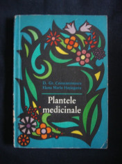 D. GR. CONSTANTINESCU, ELENA MARIA HATIEGANU - PLANTELE MEDICINALE foto