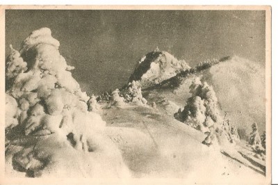 CPI (B1755) POSTAVARUL, CREASTA COCOSULUI, EDITURA LIBRARIA NOASTRA, CIRCULATA 1955, STAMPILE , TIMBRU foto