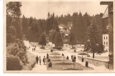 CPI (B1758) BORSEC, VEDERE DIN PARC, EDITURA LIBRARIA NOASTRA, CIRCULATA , STAMPILE, RPR foto