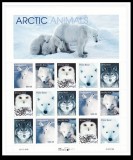 SUA 1999 FAUNA DIN ZONA ARCTICA