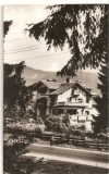 CPI (B1843) TIMISUL DE SUS, EDITURA MERIDIANE, CIRCULATA 14.09.69, STAMPILA, RPR, Fotografie