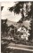 Foto  - 1