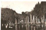 CPI (B1881) LACUL ROSU, EDITURA COMBINATUL POLIGRAFIC CASA SCINTEII, CIRCULATA 18.7.58, STAMPILE, RPR, Fotografie