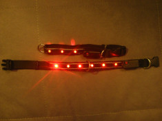 Zgarda caine cu LED-uri rosii, joc intermitent, cusatura reflectorizanta, 40-50 cm [transport gratuit] foto