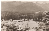 CPI (B1905) SINAIA . PIRTIA DE SCHI DE PE FURNICA, EDITURA MERIDIANE, NECIRCULATA, RPR, Fotografie