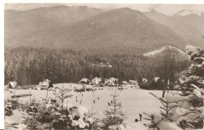 CPI (B1905) SINAIA . PIRTIA DE SCHI DE PE FURNICA, EDITURA MERIDIANE, NECIRCULATA, RPR foto