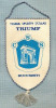 12 New Fanion -CLUBUL SPORTIV TRIUMF (CSS) BUCURESTI -30 ANI 1958-1988 -starea care se vede