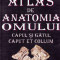 Atlas de anatomia omului - Ion Pasat