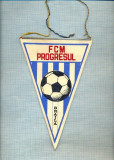 30 New Fanion - FCM PROGRESUL BRAILA - fotbal -starea care se vede