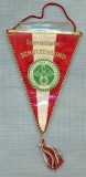 18 New Fanion - FEDERATIA AUSTRIACA DE TIR -starea care se vede