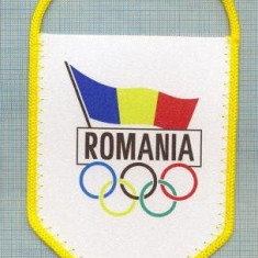 27 New Fanion - ACADEMIA OLIMPICA ROMANA - ROMANIA -starea care se vede