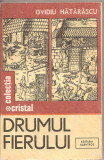 (C2890) DRUMUL FIERULUI DE OVIDIU HATARASCU, EDITURA ALBATROS, BUCURESTI, 1985