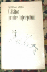 Calator printre intelepciuni - Nicolae Velea foto