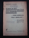 ALEXANDRU I. VASILESCU - CASCADA CALOMNIEI SKODA * {1935}