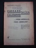 ALEXANDRU I. VASILESCU - CASCADA CALOMNIEI SKODA * {1935}