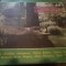Gherase Dendrino melodii album disc vinyl lp selectii muzica usoara slagare pop latin tango EDE 01580