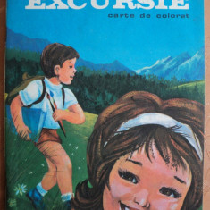 IN EXCURSIE - DUMITRU RISTEA - carte de colorat pentru copii