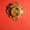 Insigna NAA -North American Army