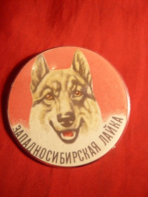 Insigna URSS -Caine foto