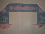 Fular fotbal SCHALKE 04, De club
