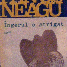 Ingerul a strigat Fanus Neagu