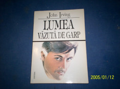 LUMEA VAZUTA DE GARP-JOHN IRVING foto