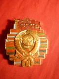 Insigna - 60 Ani URSS