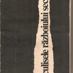 (C3058) DIN CULISELE RAZBOIULUI SECRET DE V. P .BOROVICKA, EDITURA POLITICA, BUCURESTI, 1973, TRADUCERE DIN SLOVACA DE MONICA DOBRES SI ALICE TOADER