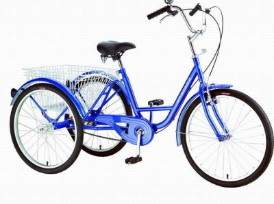 نبذة مختصرة رف نلتقي biciclete trei roti cu doua lanturi pentru adolescenti  cu dizabilitati - stephanemukkaden.org