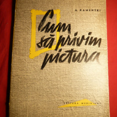 A.Kamenski - Cum privim pictura - Ed. Meridiane 1963