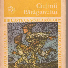 (C3073) CIULINII BARAGANULUI, MOS ANGHEL DE PANAIT ISTRATI, EDITURA ION CREANGA, 1972, ANTOLOGIE SI PREFATA DE AL. HANTA