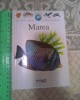 Prima mea enciclopedie Larrouse - Marea (5+1)5, Alta editura