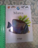 Prima mea enciclopedie Larrouse - Marea (5+1)5